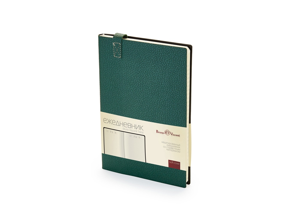 Ежедневник недатированный А5 Trend с логотипом Bruno Visconti | Print Logo