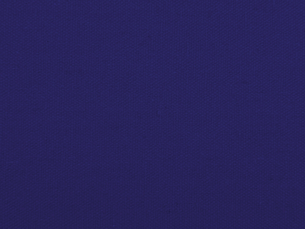 Сумка для шопинга Steady из хлопка с парусиновыми ручками, 260 г/м2, синий