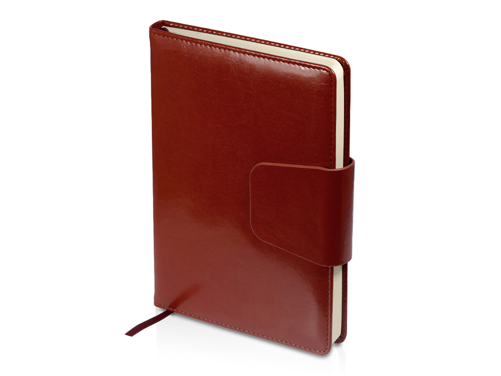 Ежедневник недатированный А5 Prestige с логотипом Bruno Visconti | Print Logo