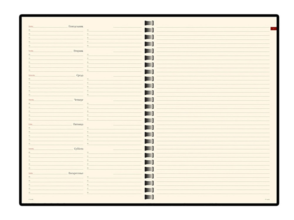 Еженедельник недатированный А5 Concept, зеленый