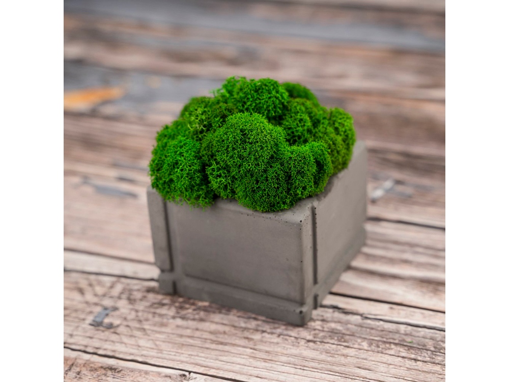 Кашпо бетонное со мхом (квадрат-маренго мох зеленый), QRONA