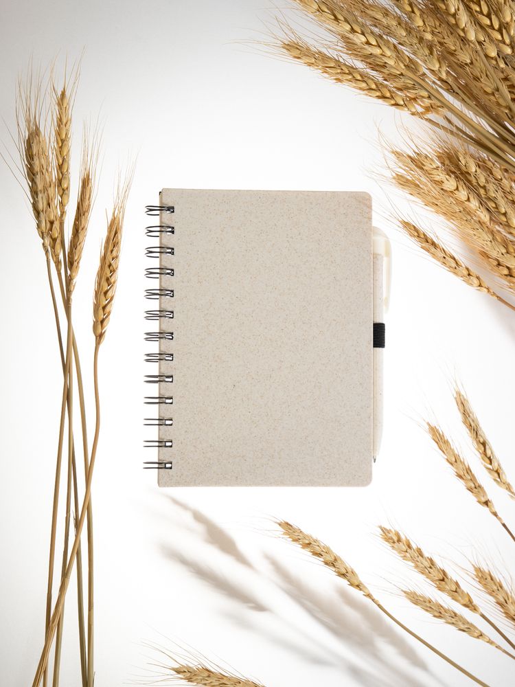 Блокнот на спирали Intrigo