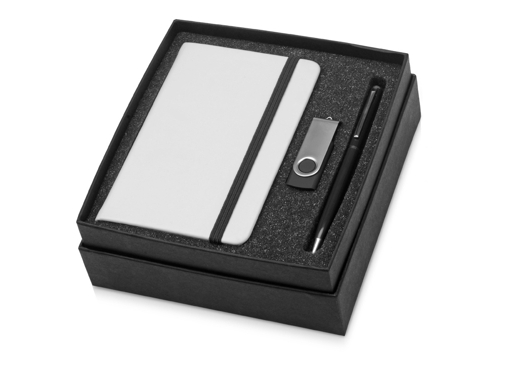Подарочный набор Reporter Plus с флешкой, ручкой и блокнотом А6 с логотипом  | Print Logo