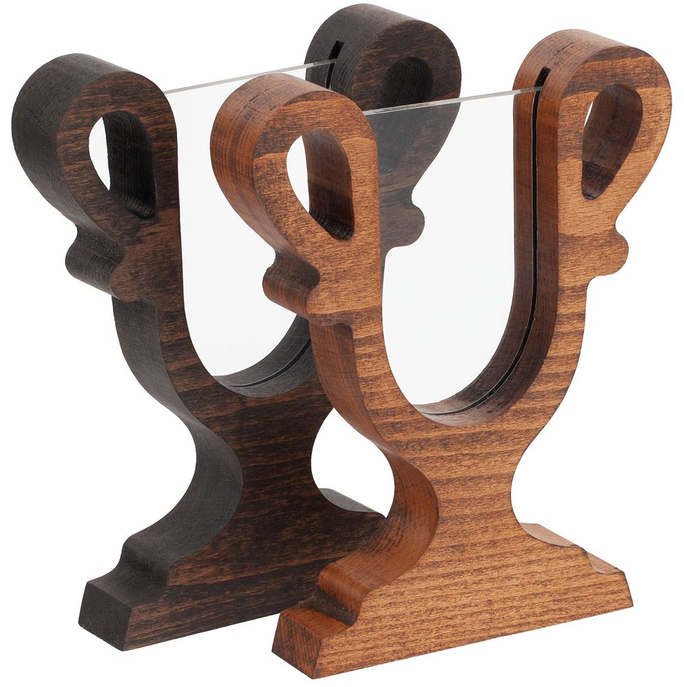 Награда Conquest — пример нанесения логотипа () | Print Logo