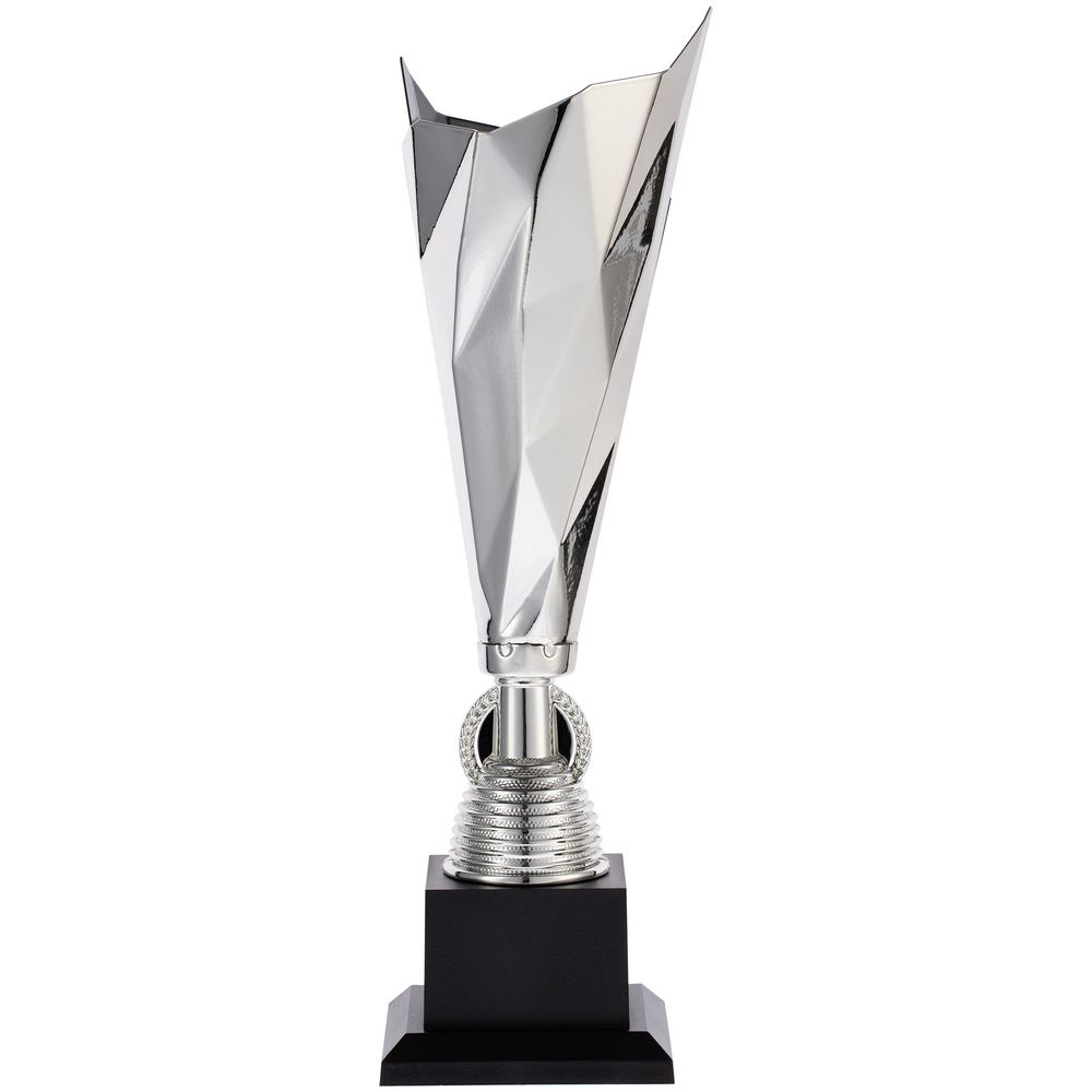 Кубок-факел Flamous Glory — пример нанесения логотипа () | Print Logo