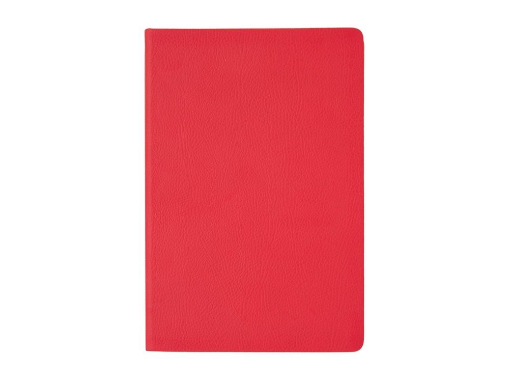 Ежедневник А5 датированный Megapolis Nappa на 2026, красный