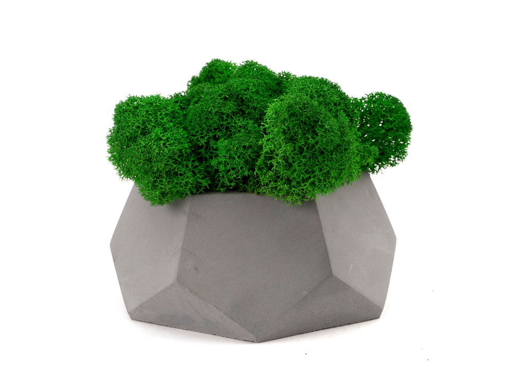 Кашпо бетонное со мхом (альфа-маренго мох зеленый), QRONA