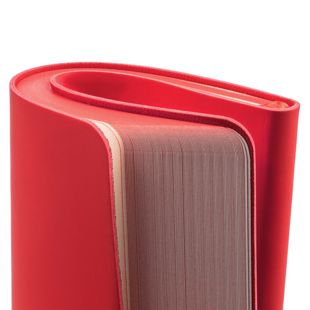 Ежедневник Shall Light, недатированный фото на сайте Print Logo.