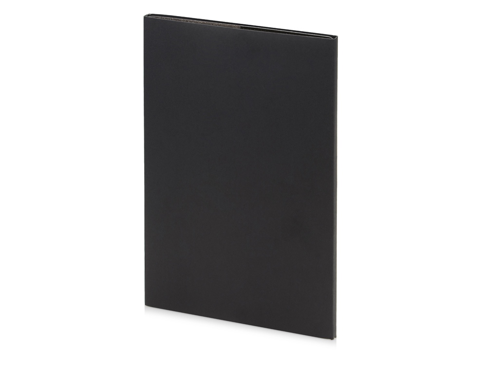 Еженедельник недатированный А4 Profy, черный