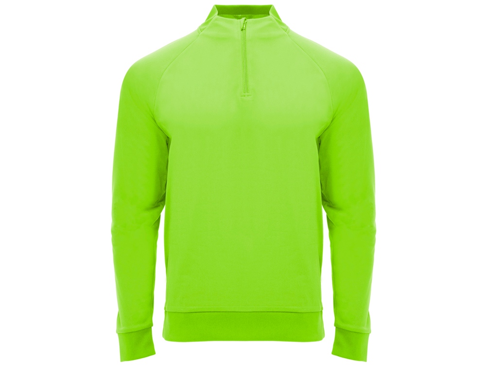 Толстовка с воротом на молнии Epiro детская с логотипом Roly | Print Logo