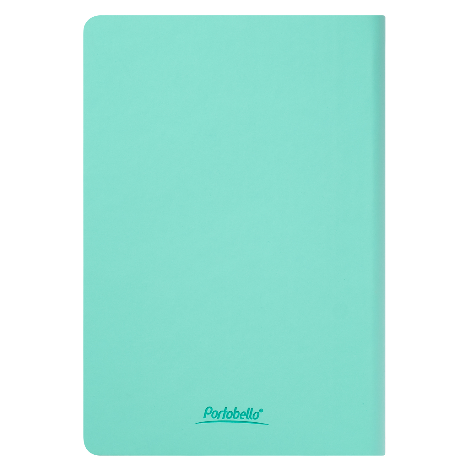 Ежедневник Spark недатированный, мятный (с упаковкой, со стикерами)