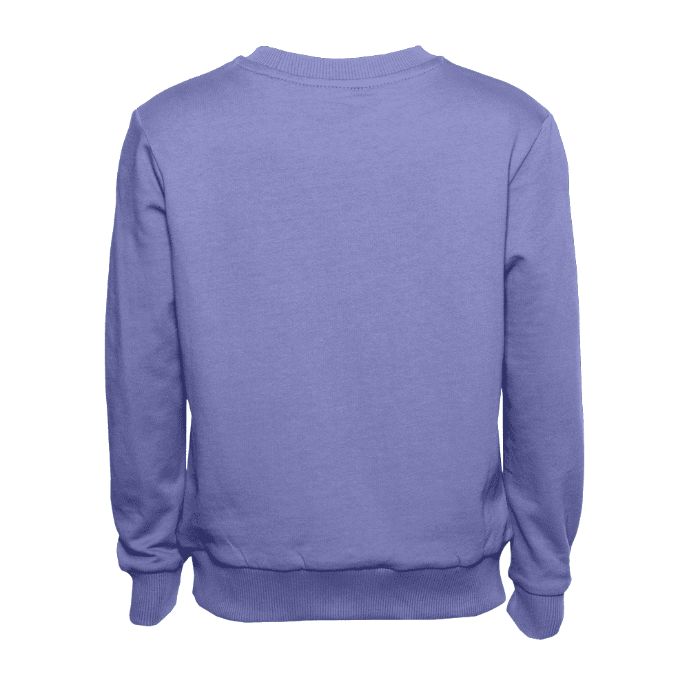 Свитшот детский STAN футер без начёса, 260, 63J, Сливовый,  (95)  (12/12 лет)