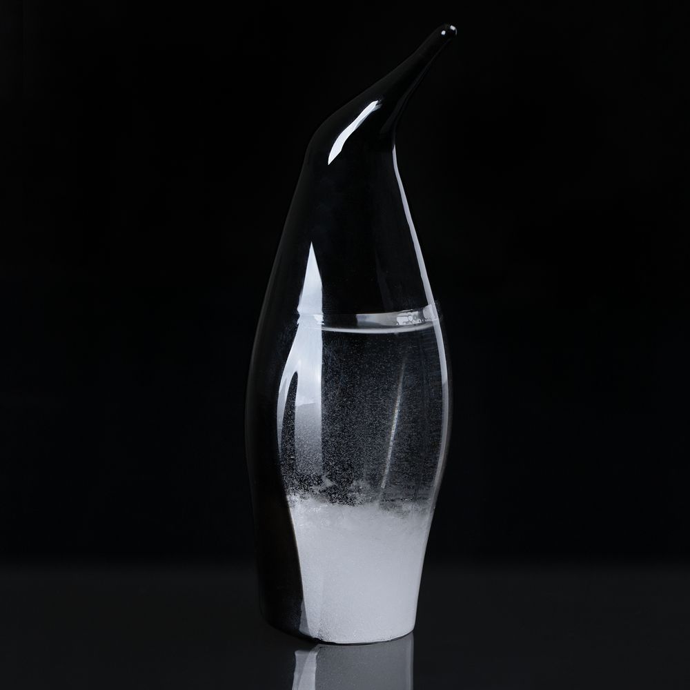 Штормгласс Penguin фото на сайте Print Logo.