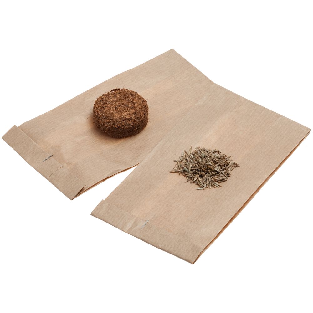 Набор для выращивания Funky Headman фото на сайте Print Logo.