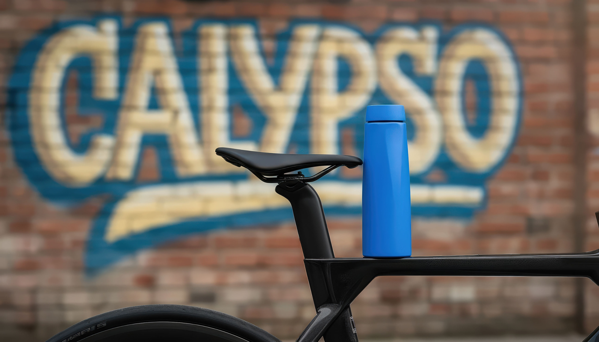 Бутылка для воды "Calypso" 650 мл фото на сайте Print Logo.