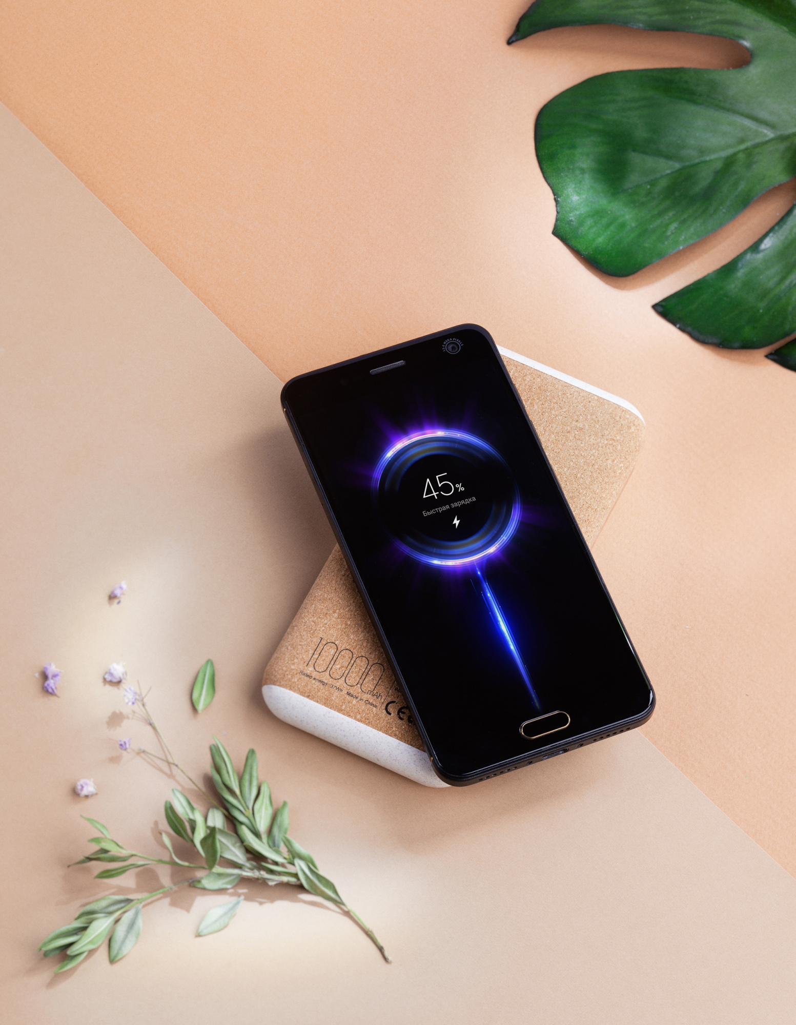 Беспроводное зарядное устройство "Cork Power" 10000 mAh, пластик/пшеничное волокно/пробка фото на сайте Print Logo.