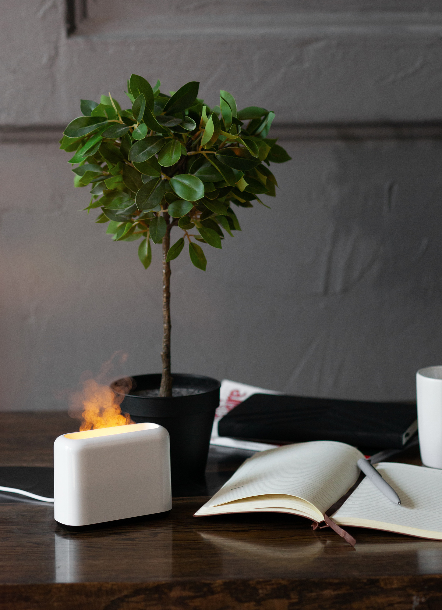 Увлажнитель "Flame" с эффектом пламени фото на сайте Print Logo.Print Logo.