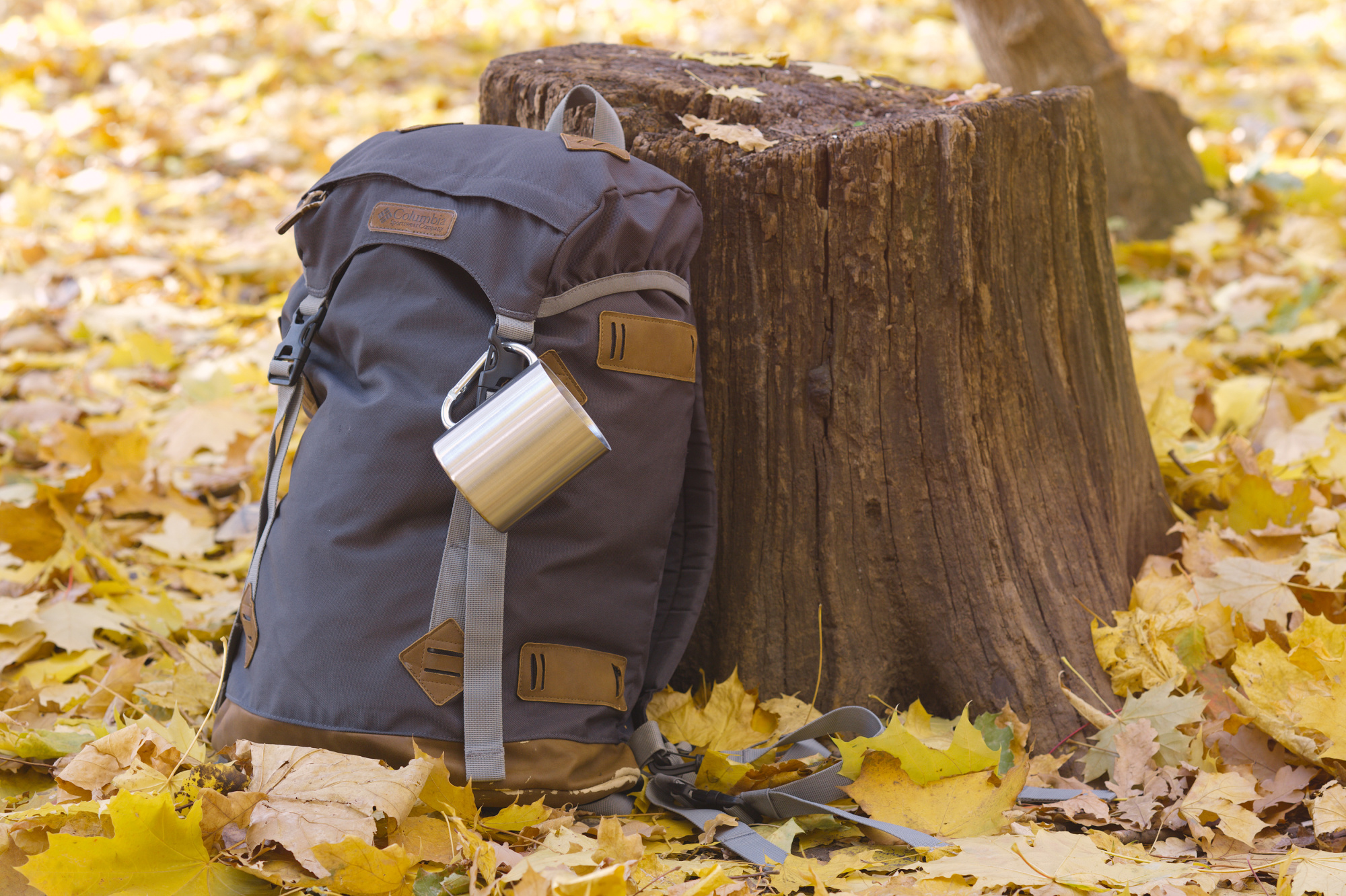 Кружка с карабином "Огайо" 300 мл — пример нанесения логотипа () | Print Logo