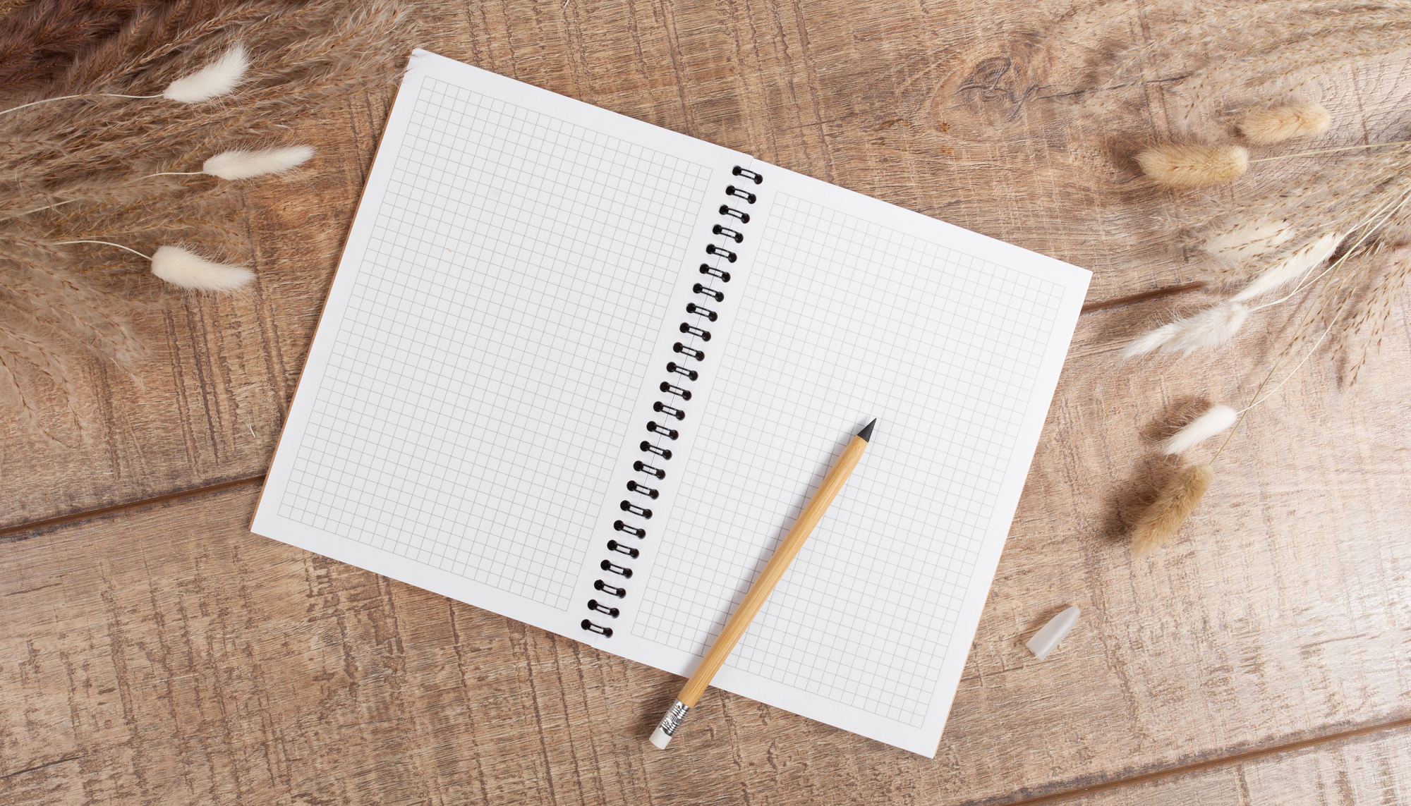 Набор "Light" фото на сайте Print Logo.